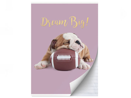 Studio Pets Dream Big A4 Lijn Schrift