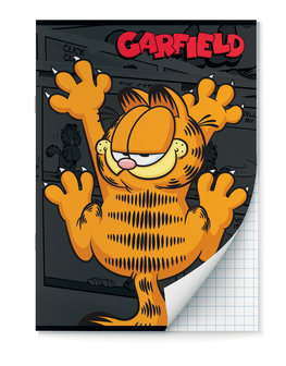 Garfield Strip A4 Ruit Schrift - 2 stuks